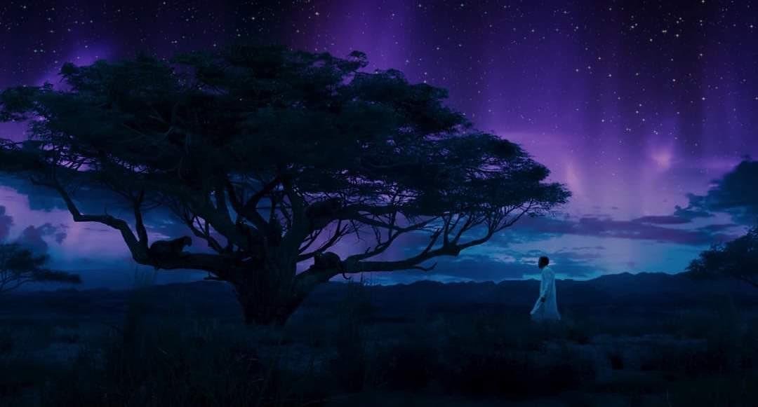 Watching “Black Panther” today. Carrying respect and a bit of sadness for this family. Such humility in his portrayal of T’Challa. Strength in Danai’s Okoye. Loyalty in Lupita’s Nakia. Ingenuity and humor in Letitia’s Shuri