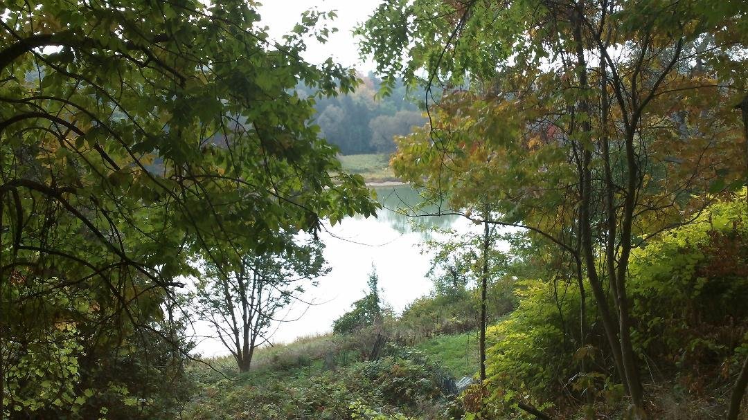 Marcel Purvis' album, Timeline Photos