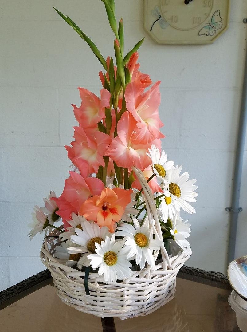 The last of my gladiolus! Where has the summer gone?