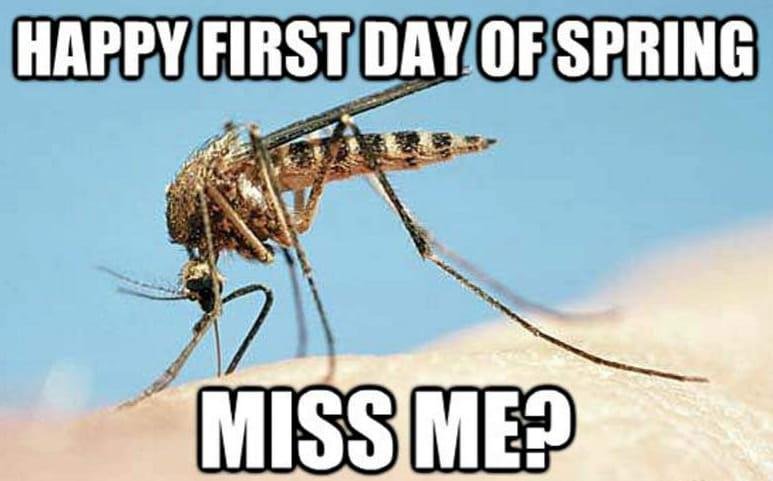 Happy Spring!
First day of spring 2024
The reason the first day of spring was March 19 was because 2024 is a leap year. Leap years are caused by Earth's rotation. A year is 365 days, but technically it takes the Earth sligh