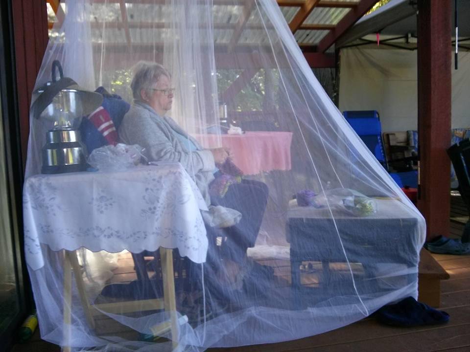 Marilyn Fuller in her castle. Protected from wasps and mosquitos. Another great day here. Went lunching at the Crow and Gate yesterday. Very busy place but good food and service.