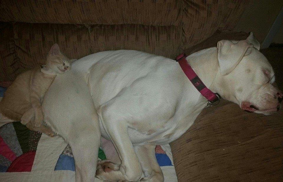 Hope she don't fart