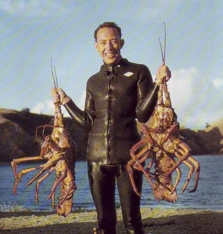 Will, visiting New Zealand and family 45 years ago. On the South Island between New Zealand and Australia. I walked into a dive shop and saw this. Packhorse crawfish. Dinner anyone.