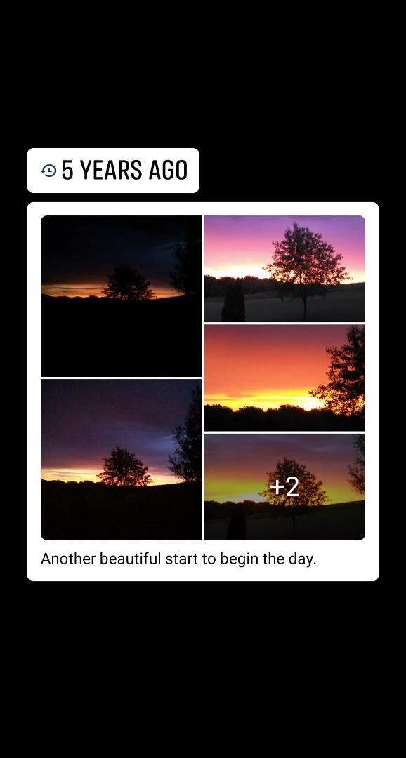 Beverly Fedie's album, Mobile Uploads