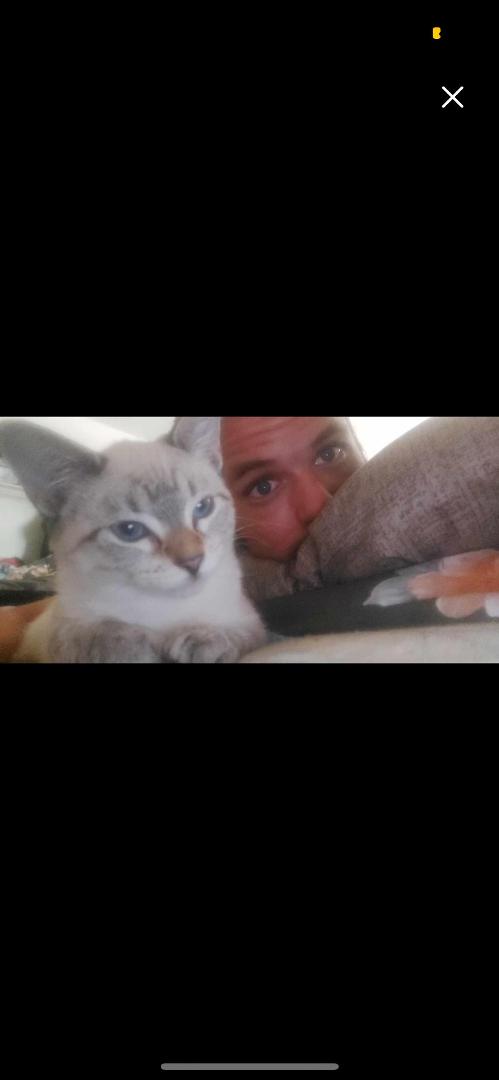 Benjamin King's album, Timeline photos