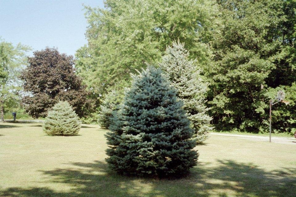 Tim Pertler's album, Middletown