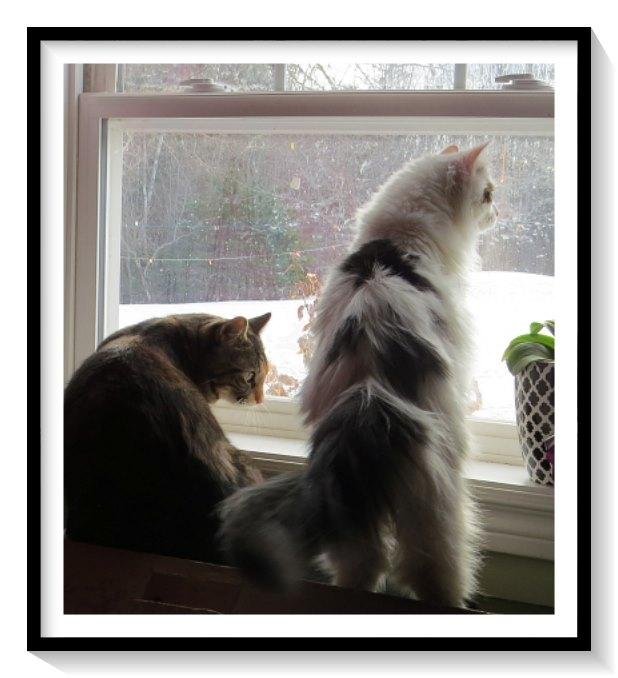 Bruce MOTT's album, Timeline Photos