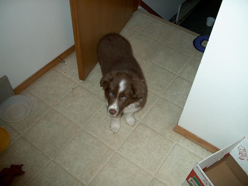 Darryl Kilert's album, Photos