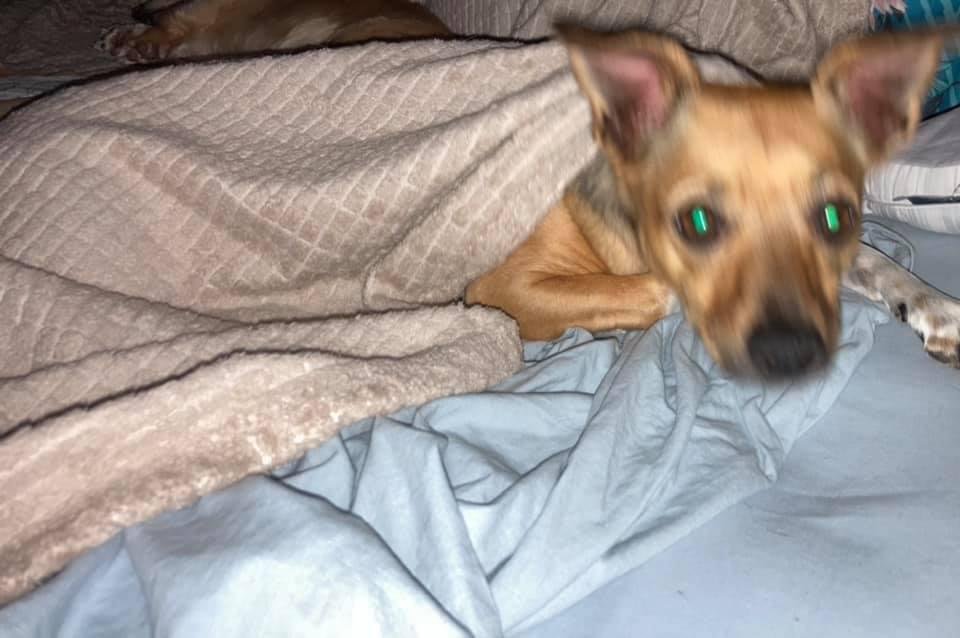 I don’t have to get up do I daddy?