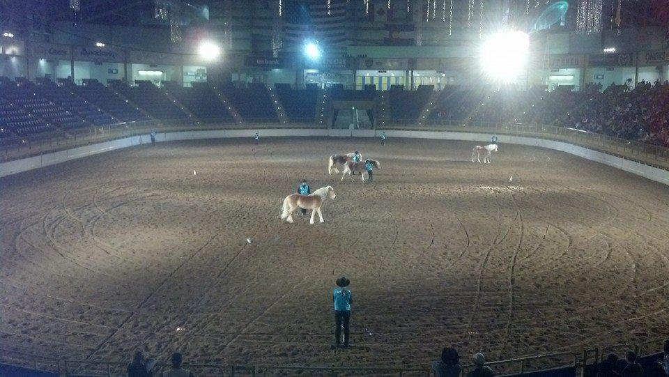 Livery Work @ the Rocky Mountain Horse Expo.