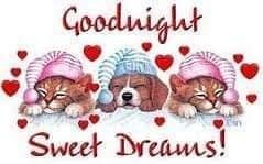 Instead of focusing on all the bad, be thankful for all the good. Each day you have is a blessing from God. Enjoy life. - Good Night and Sweet Dreams ❤ 😴