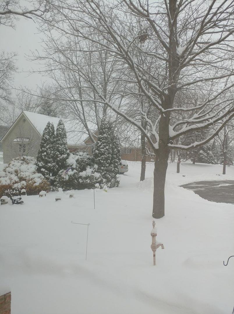 Snow from dining room window in front of house!