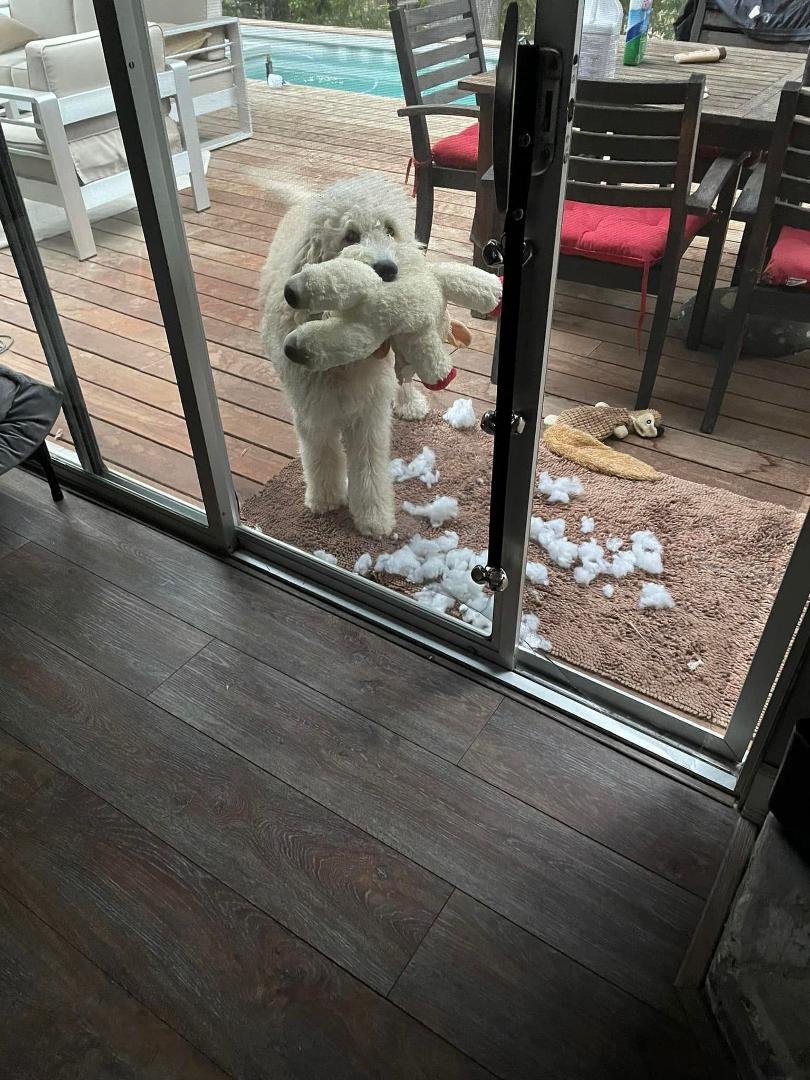 Another one bites the dust