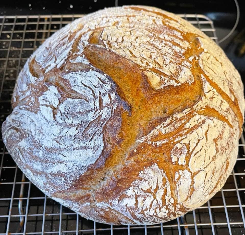 After baking the first recipe in “Flour Water Salt Yeast” 3 times, I moved on to the second recipe: Whole Wheat!