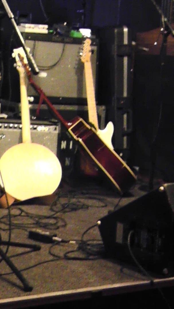 Guitar or shark?