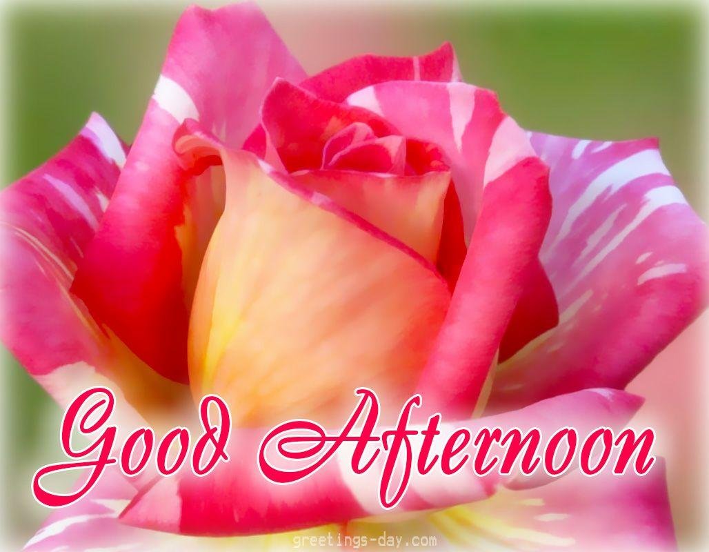 Have a Blessed afternoon N Safe weekend! Every 1 ENJOY😍