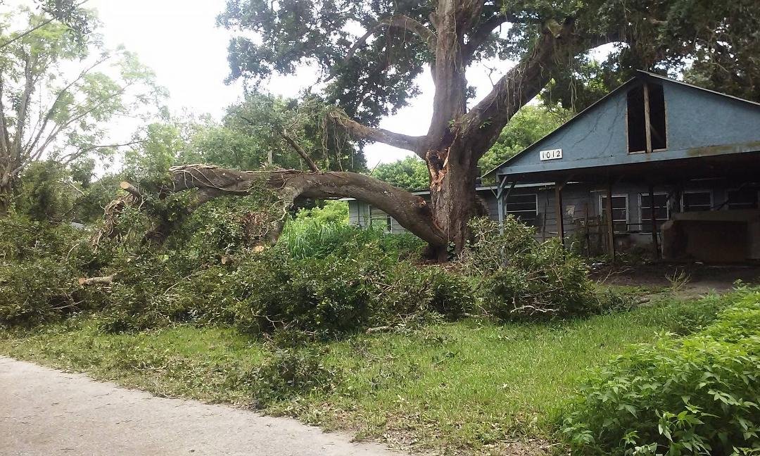 Well had a very exciting evening last night it all started about 6:30 and lasted till 2 am this morning a BIG tree limb fell in my parents property last night and knocked the power out in the whole block it was Hot Hot Hot..