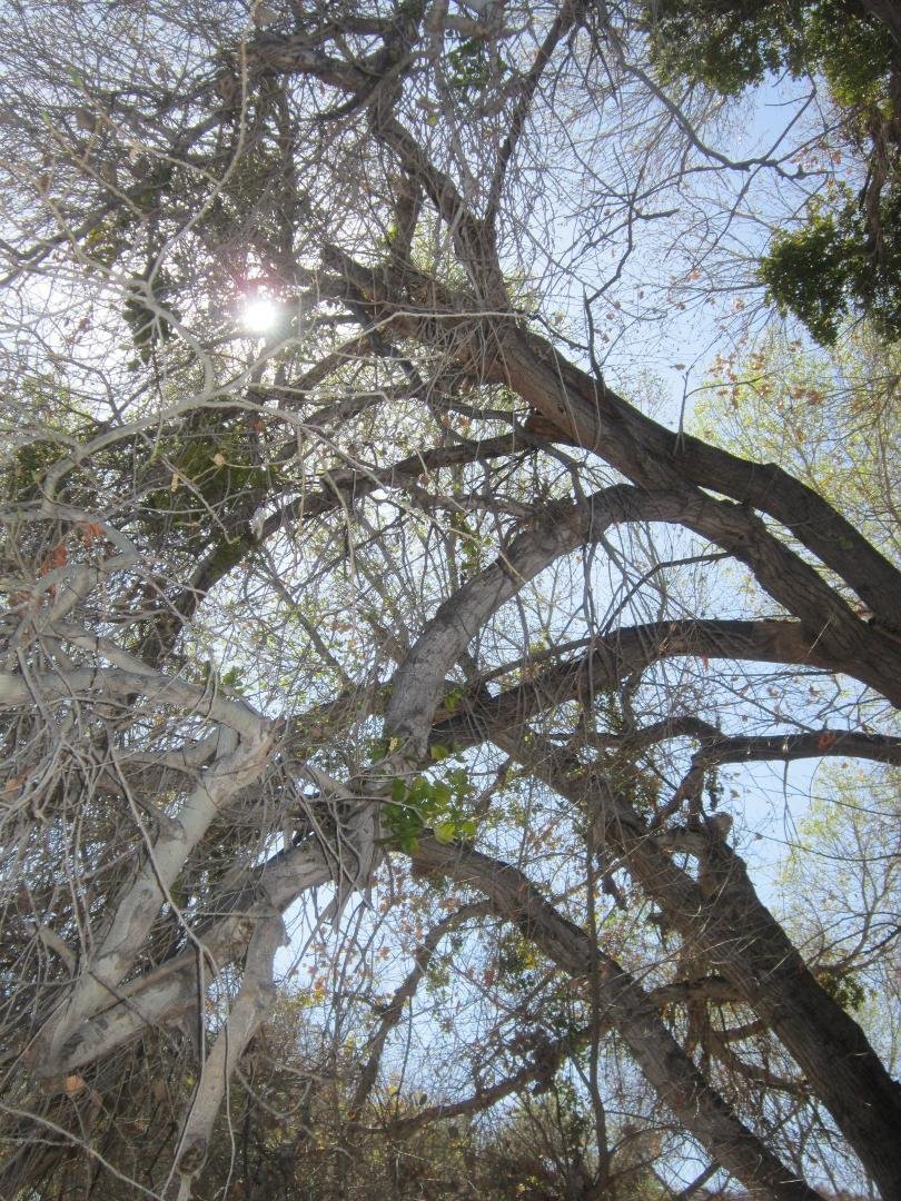 Dan Griffin's album, LOST hike 2-18-12