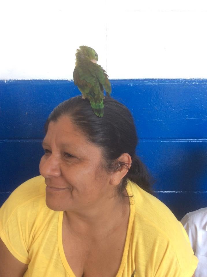 Salvadoran pet therapy