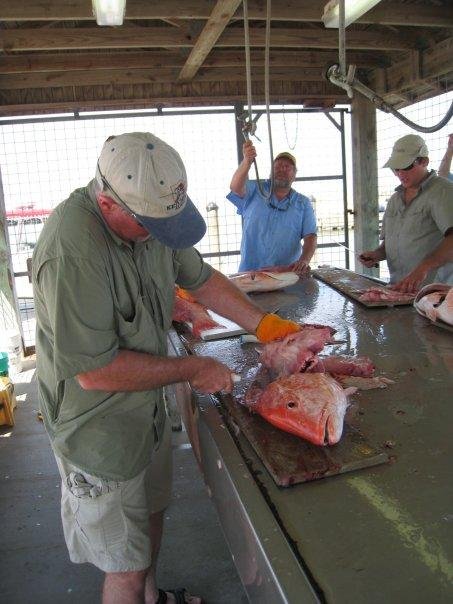 David George's album, Fishing Trip 8-14 (more pics)