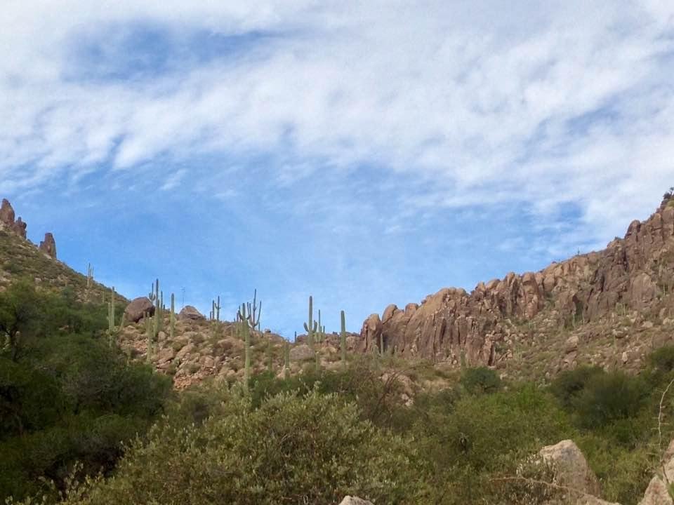 It's so hard to leave this beautiful scenery and weather! ❤️🌵🌞
See you again soon❣😎