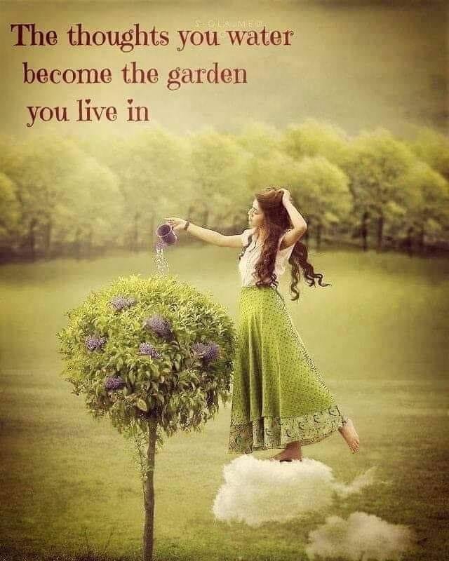 Jacquelyn Scott's album, Timeline Photos