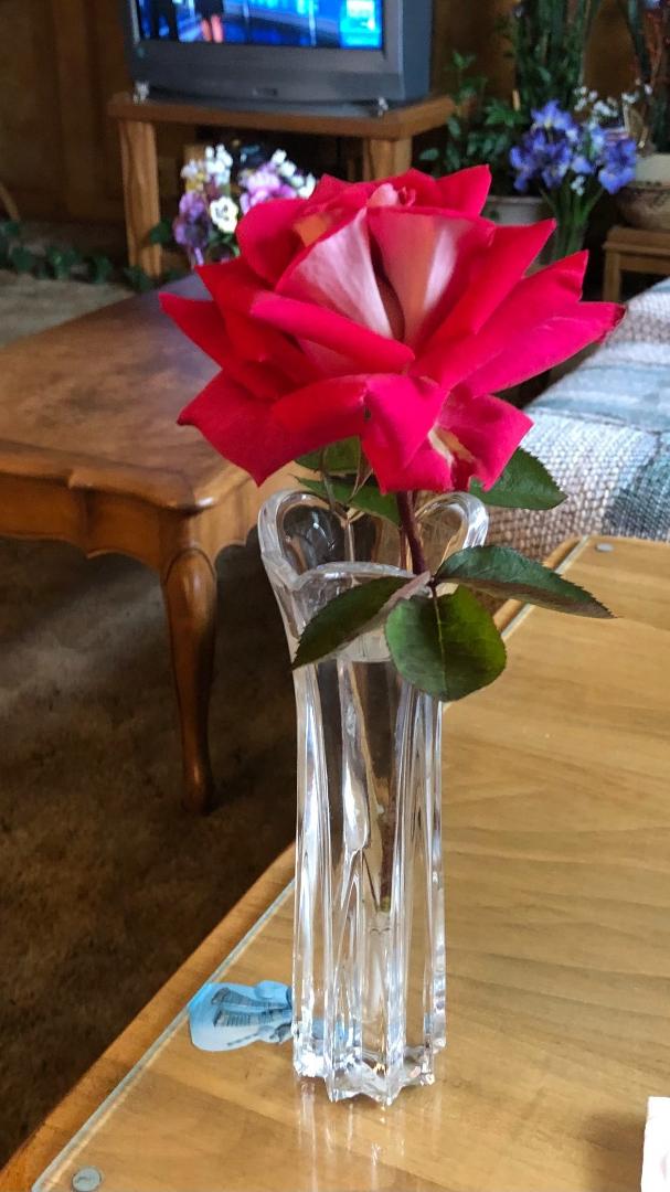 Carl Wade's album, Timeline photos