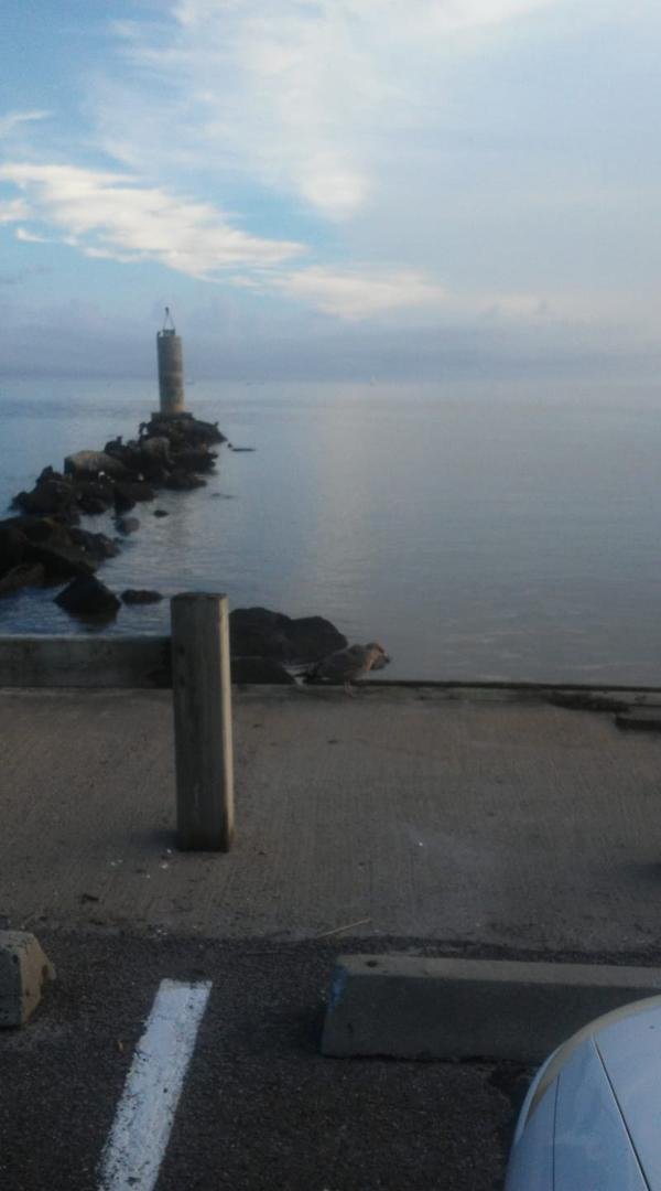The End of the Summer,
The Calm Before the
Storm