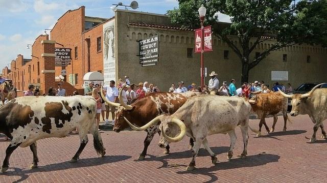 Andy Burks' album, Texas