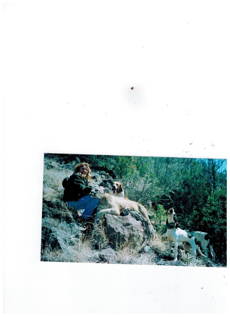 best Cougar trackers I have ever seen, 2009