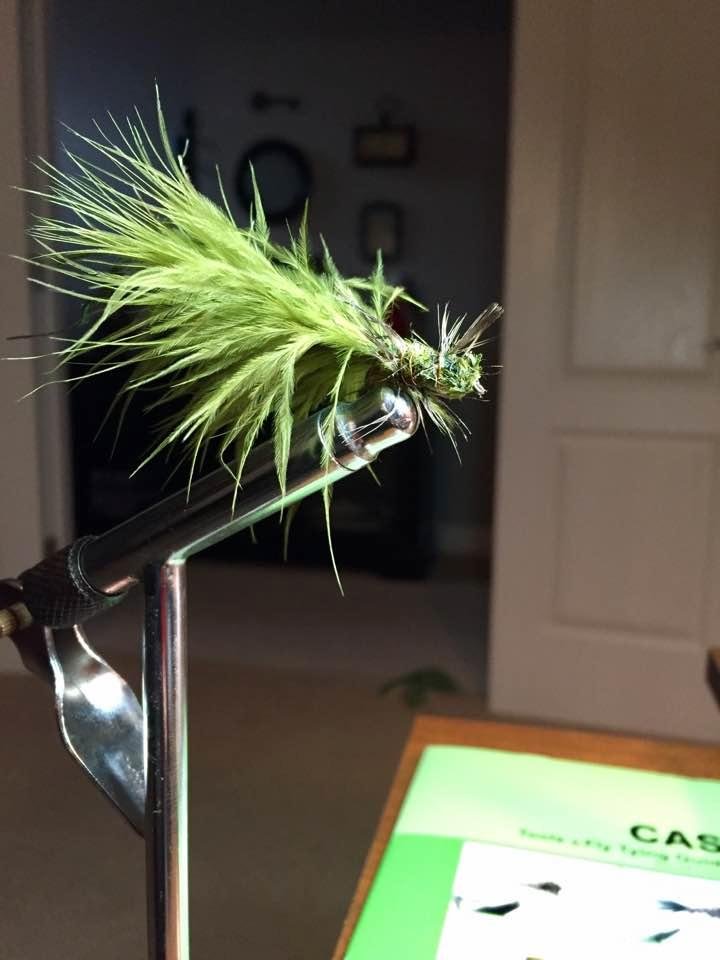 I have created a monster!