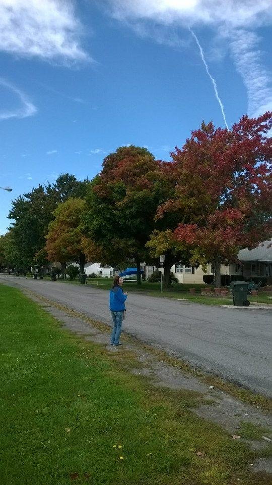 More Trees, and my darling wife.