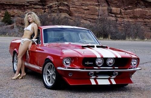 Of course I love mustangs !