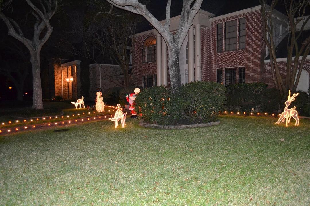 Got the reindeer grazing. Hopefully no one will mess with them this year, if you know what I mean.