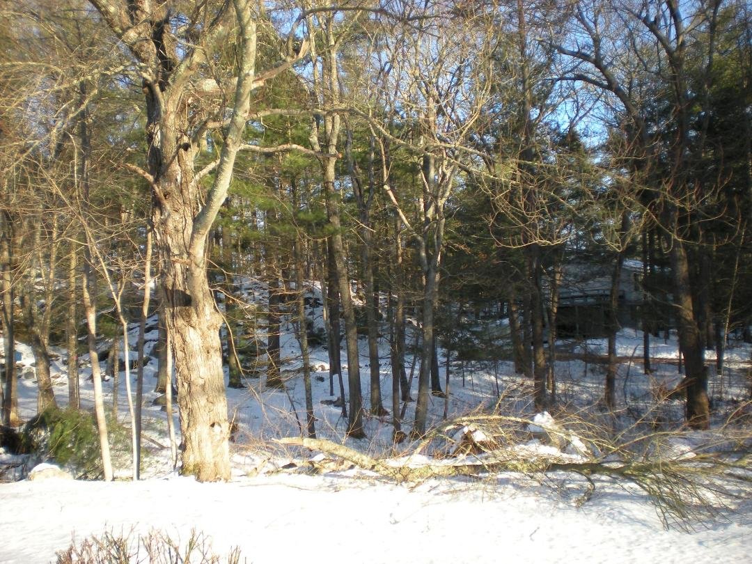 After 3 days of 40's to 50 has droped the snow Nemo Storm.