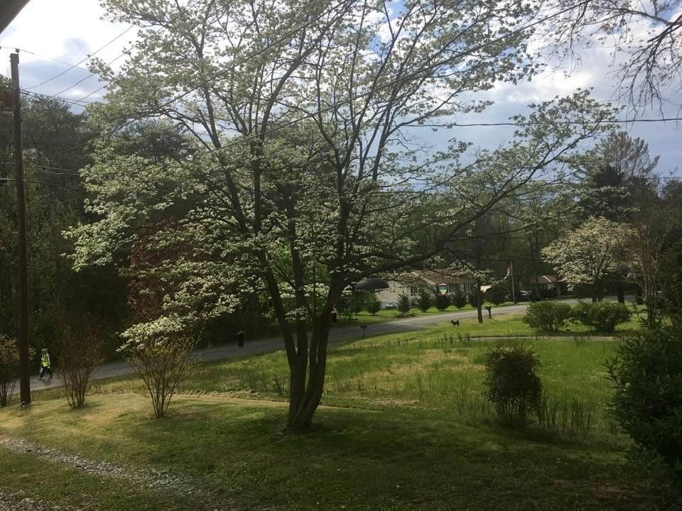 Robin Purdy's album, Timeline Photos