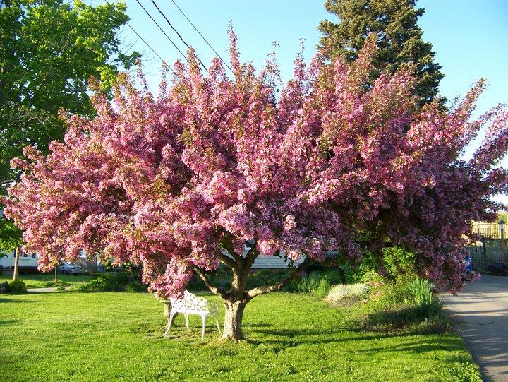 I love this time of year!!!!!!!!!!!!!