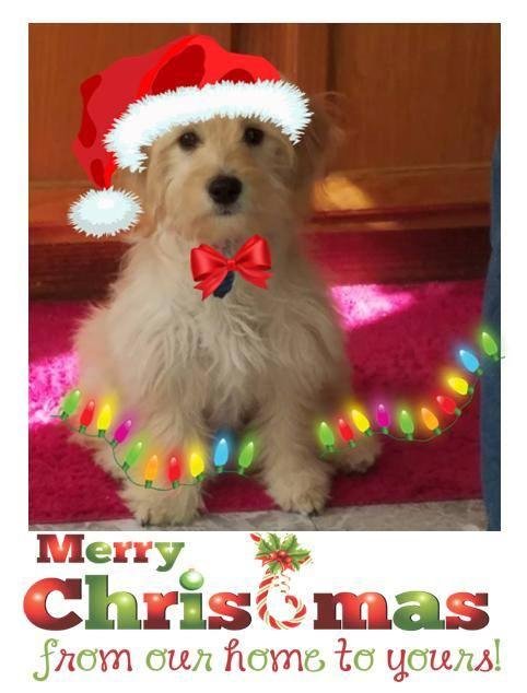 Just wanted to say Merry Christmas to our family and friends, near and far. May your holiday be blessed and filled with happiness, renewed hope and love. xxxx