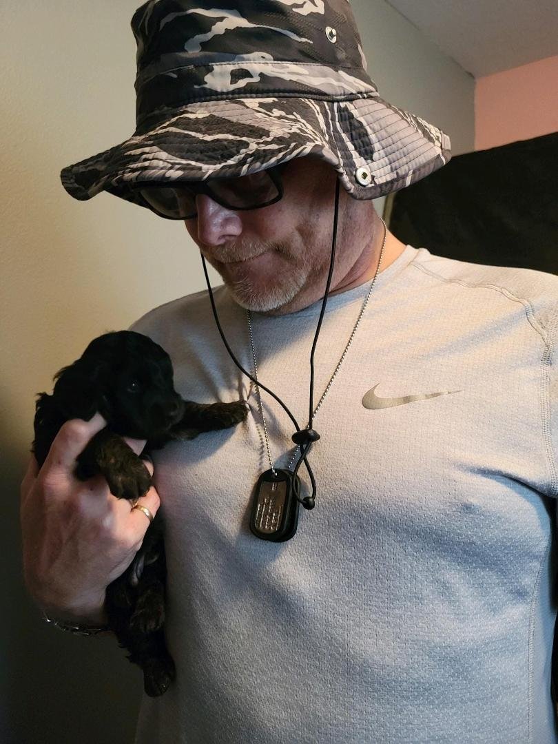 Looks just like Winston the dad Bruno is a boy and the runt of the liter what I wanted