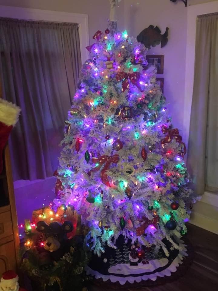 The wife did a great job😀