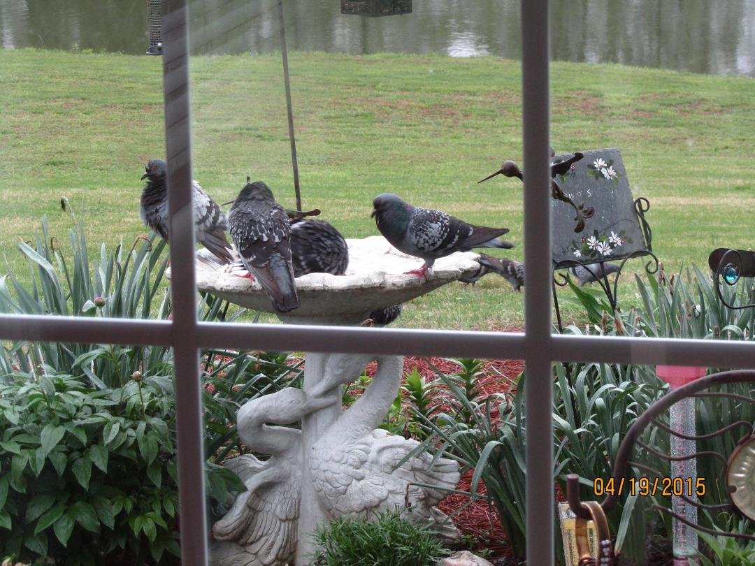 Laura Eaves' album, Timeline Photos