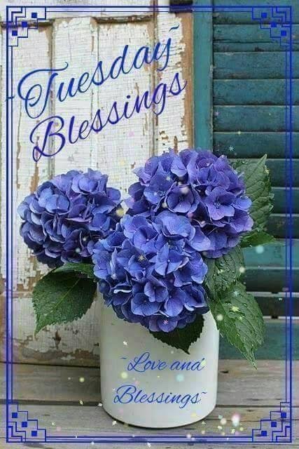 Nancy Kelly Lucas' album, Timeline Photos