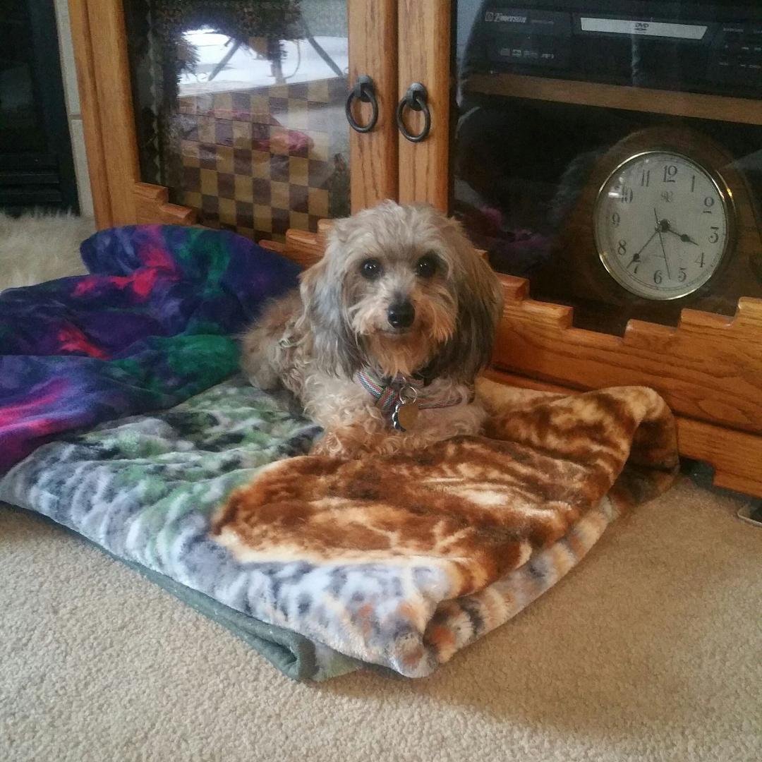 Shy little Miss Mindy