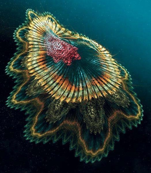 So beautiful but deadly