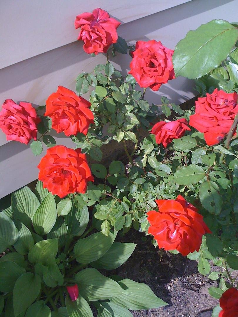 Wanda Hysell's album, Timeline Photos