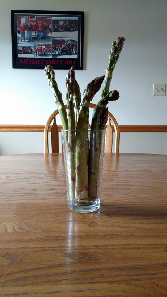 My mother's day bouquet