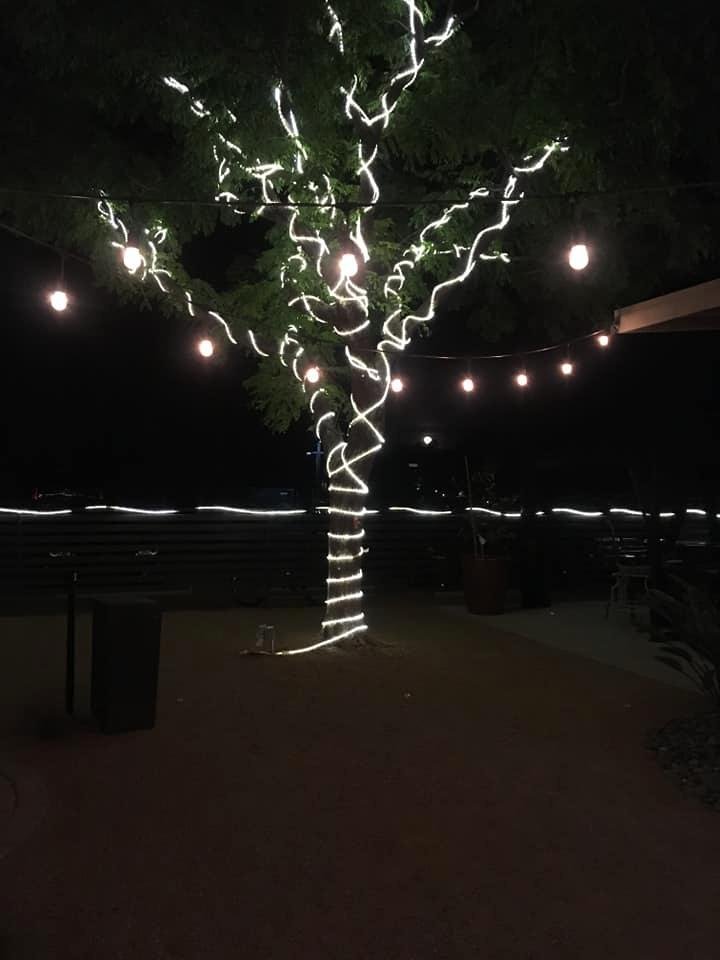 Steven Sheldon's album, Mobile Uploads