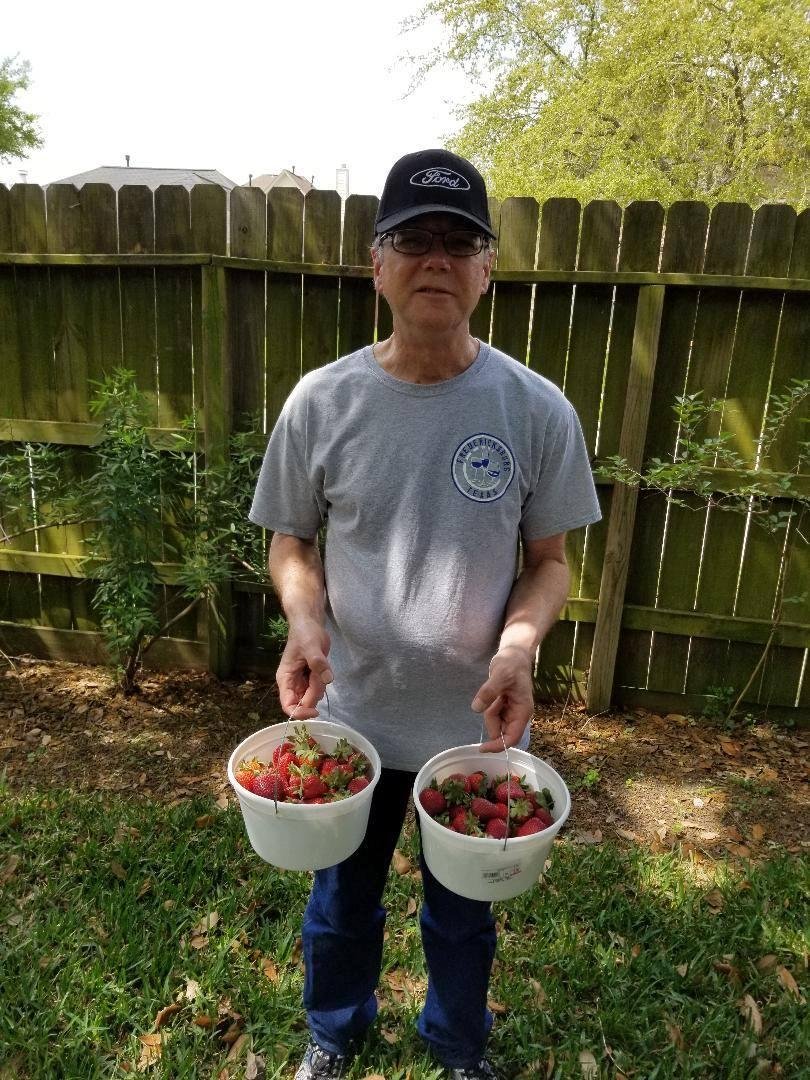 Texas Strawberries!