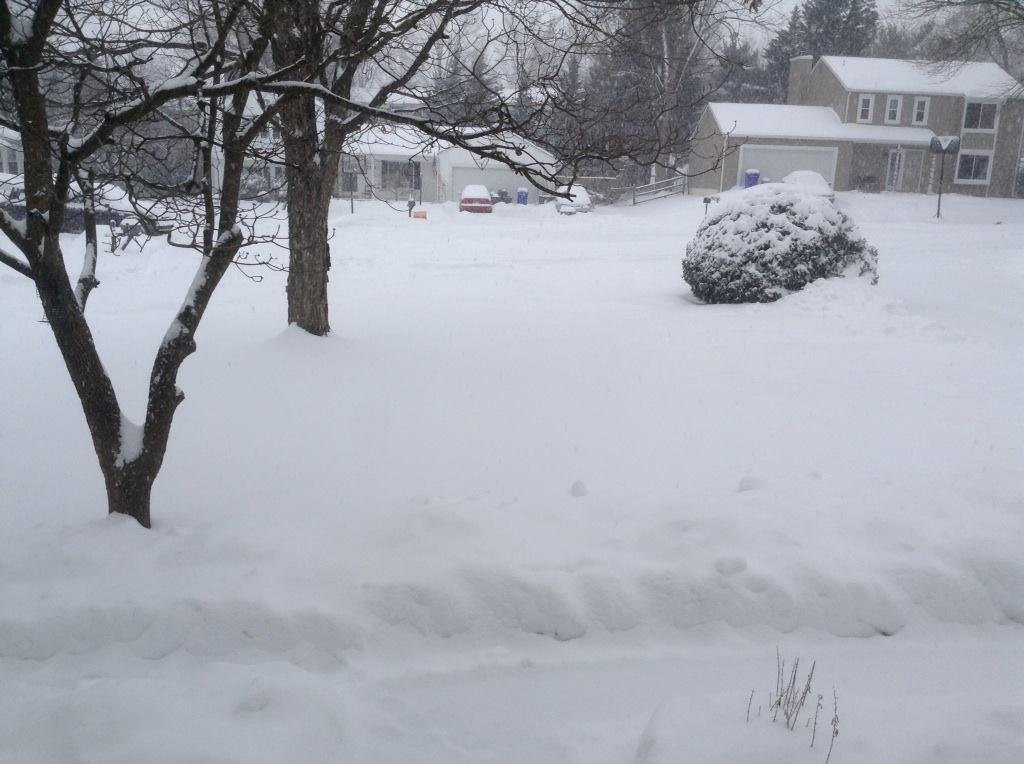 It was a snow day here. Rain tonight.?