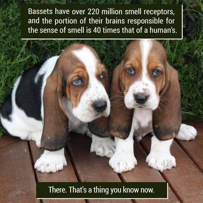 Douglas Broughton's album, Timeline photos